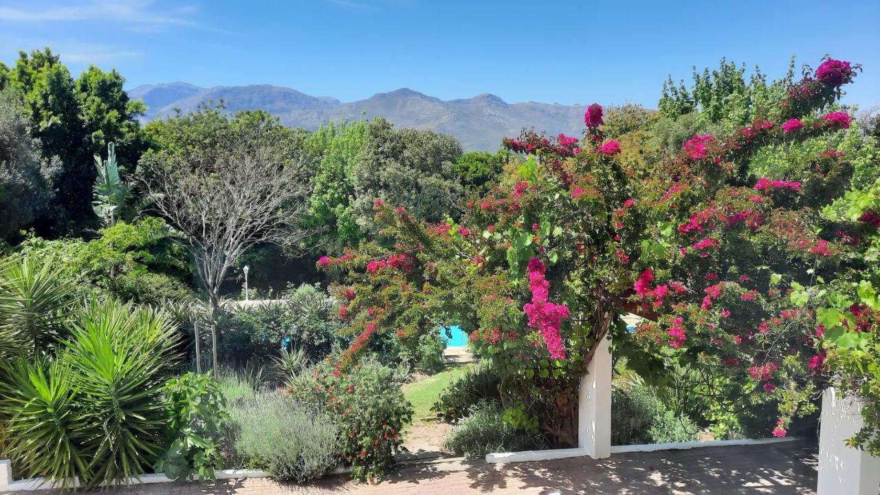 Alba House Guest House Paarl Kültér fotó