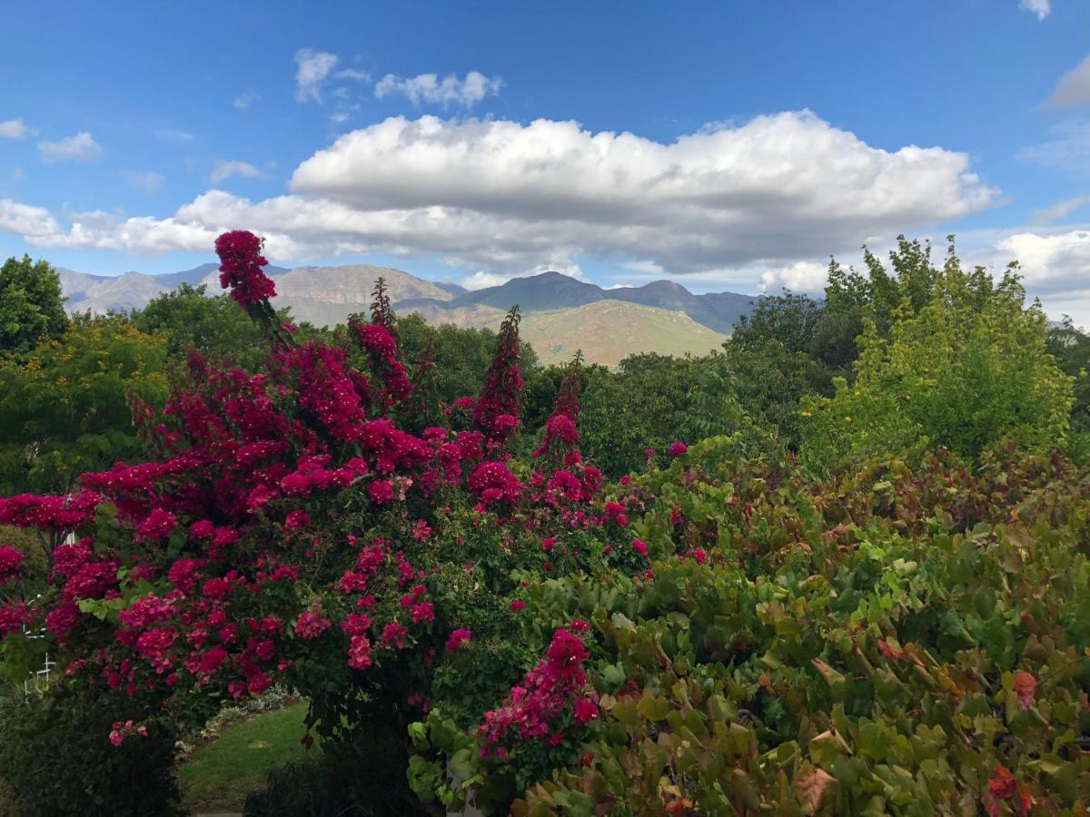 Alba House Guest House Paarl Kültér fotó