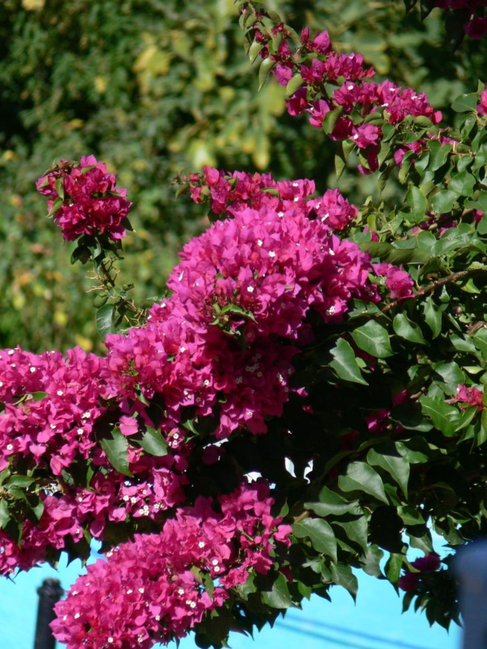 Alba House Guest House Paarl Kültér fotó